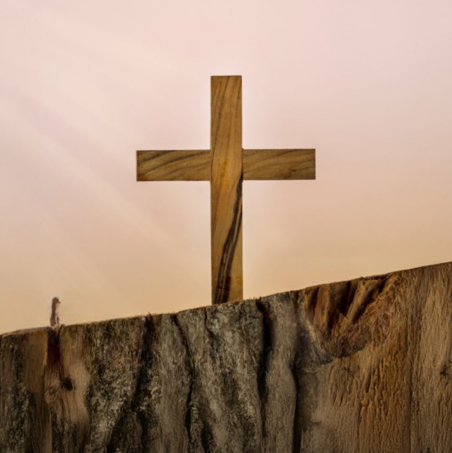 30 Jahre erinnern, begleiten und anstoßen.